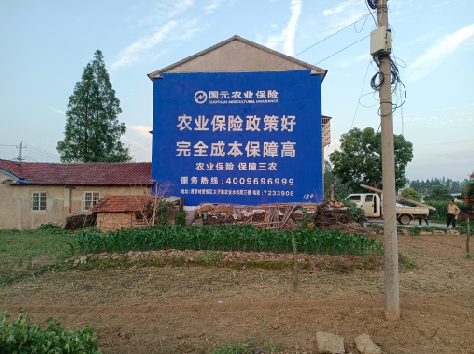 来宾墙体广告为何受追捧？