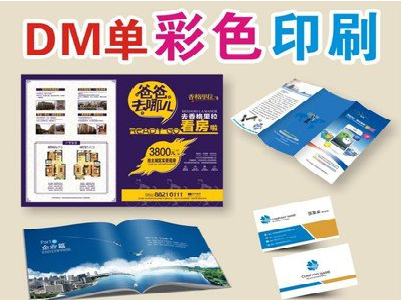 来宾单页印刷,色彩搭配简单。